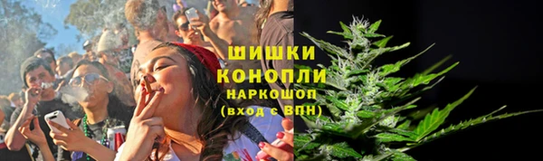 тгк Бородино