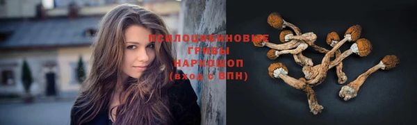 jwh Семилуки