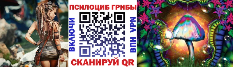 это какой сайт  Советская Гавань  Галлюциногенные грибы Psilocybe  где можно купить  