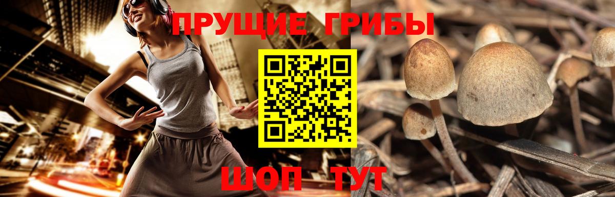 Галлюциногенные грибы мицелий Советская Гавань